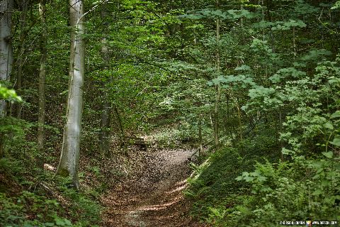 Gemeinde Julbach Landkreis Rottal-Inn Schlossberg (Dirschl Johann) Deutschland PAN